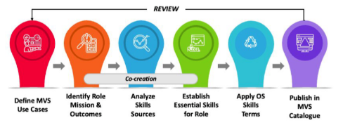MVS publication steps